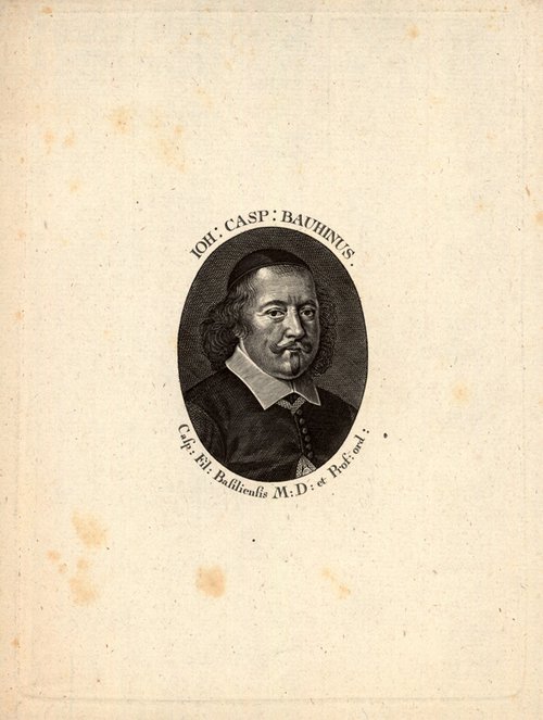 Johann Caspar Bauhin, UB Portr BS Bauhin JC 1606, 1
