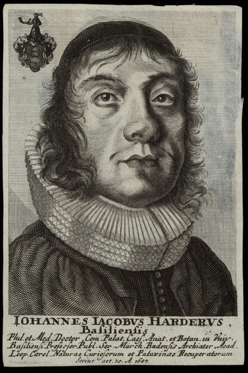 Johann Jakob Harder, UB Portr BS Harder JJ 1656, 1