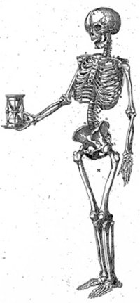 Felix Platter, weibliches Skelett