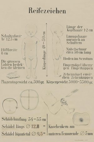 Martha Pfannenschmid, Lehrtafel &copy; IRM Basel