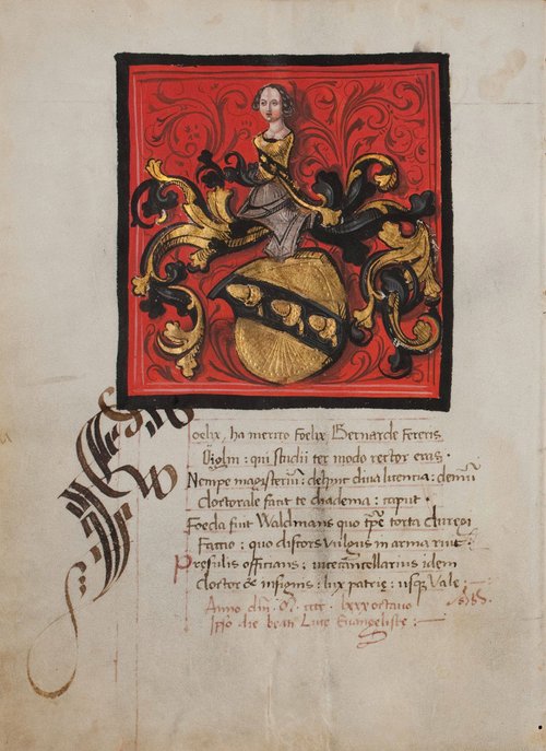 Bernhard Oiglin, UB Mscr AN II, 1478, 77v